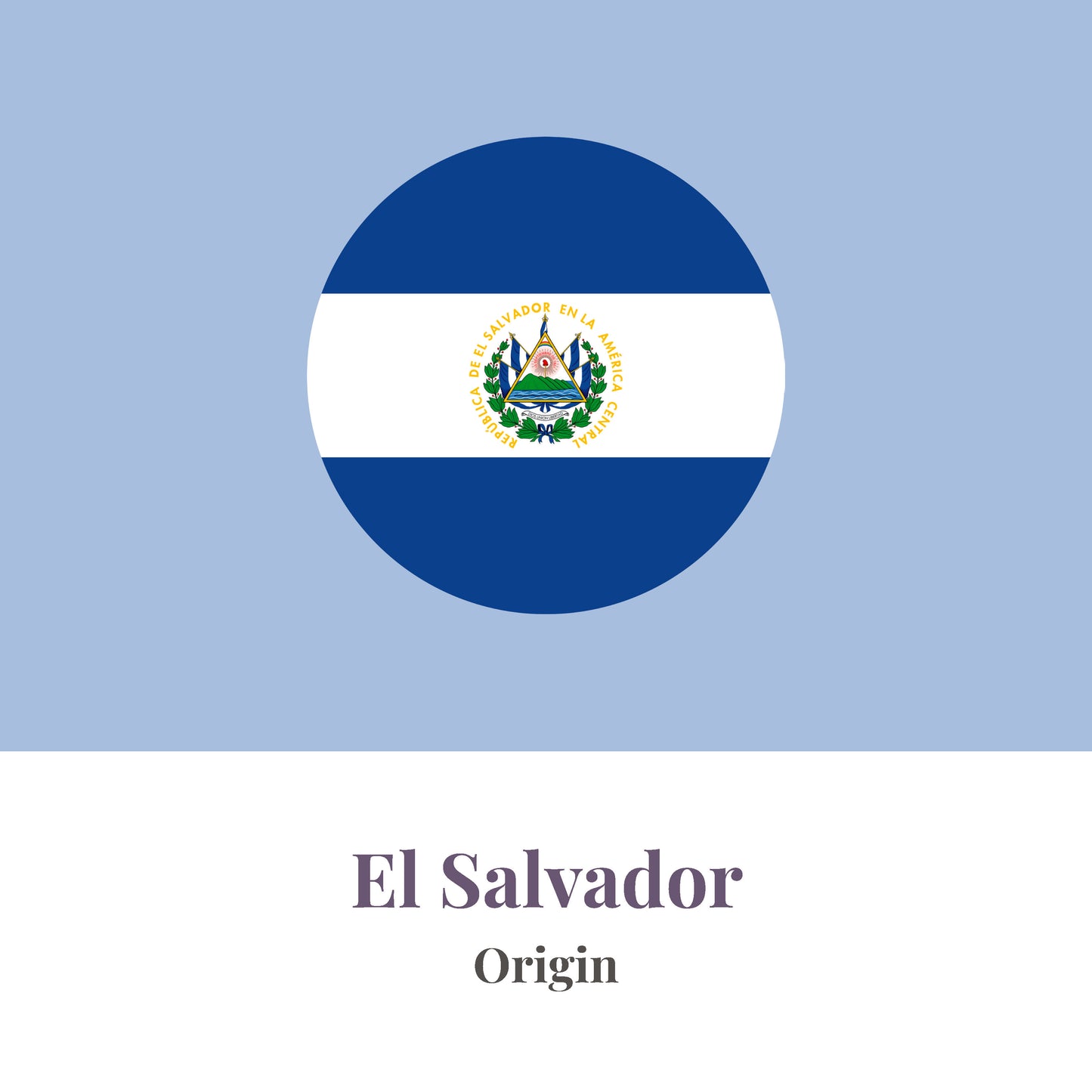 El Salvador Single Origin Coffee Beans