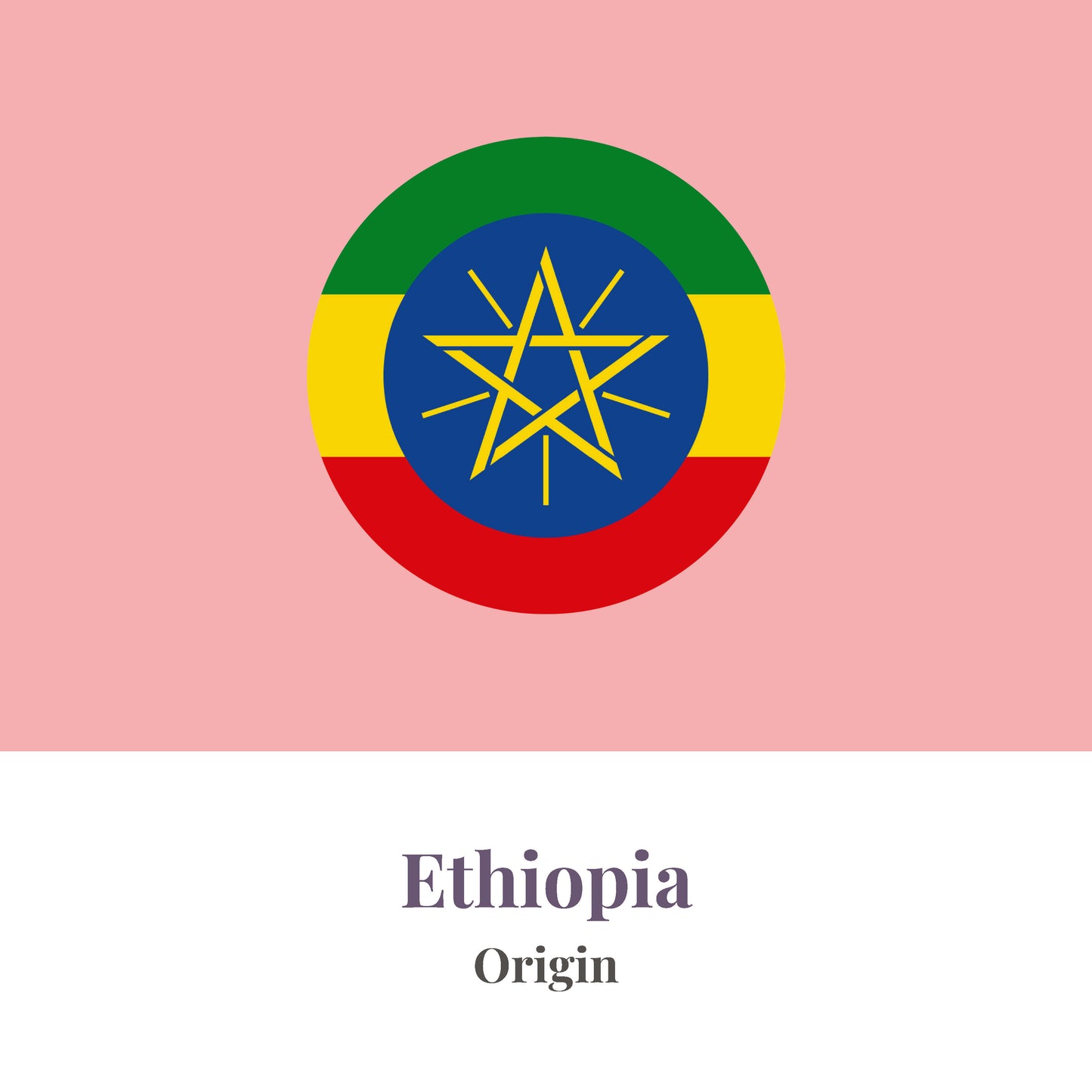 Ethiopia Single Origin Coffee Beans