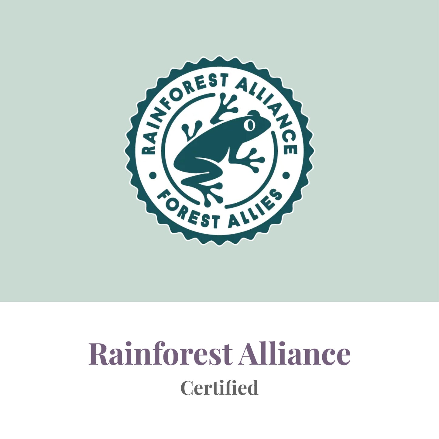 Heavenly Rainforest Alliance Meadow Espresso Beans