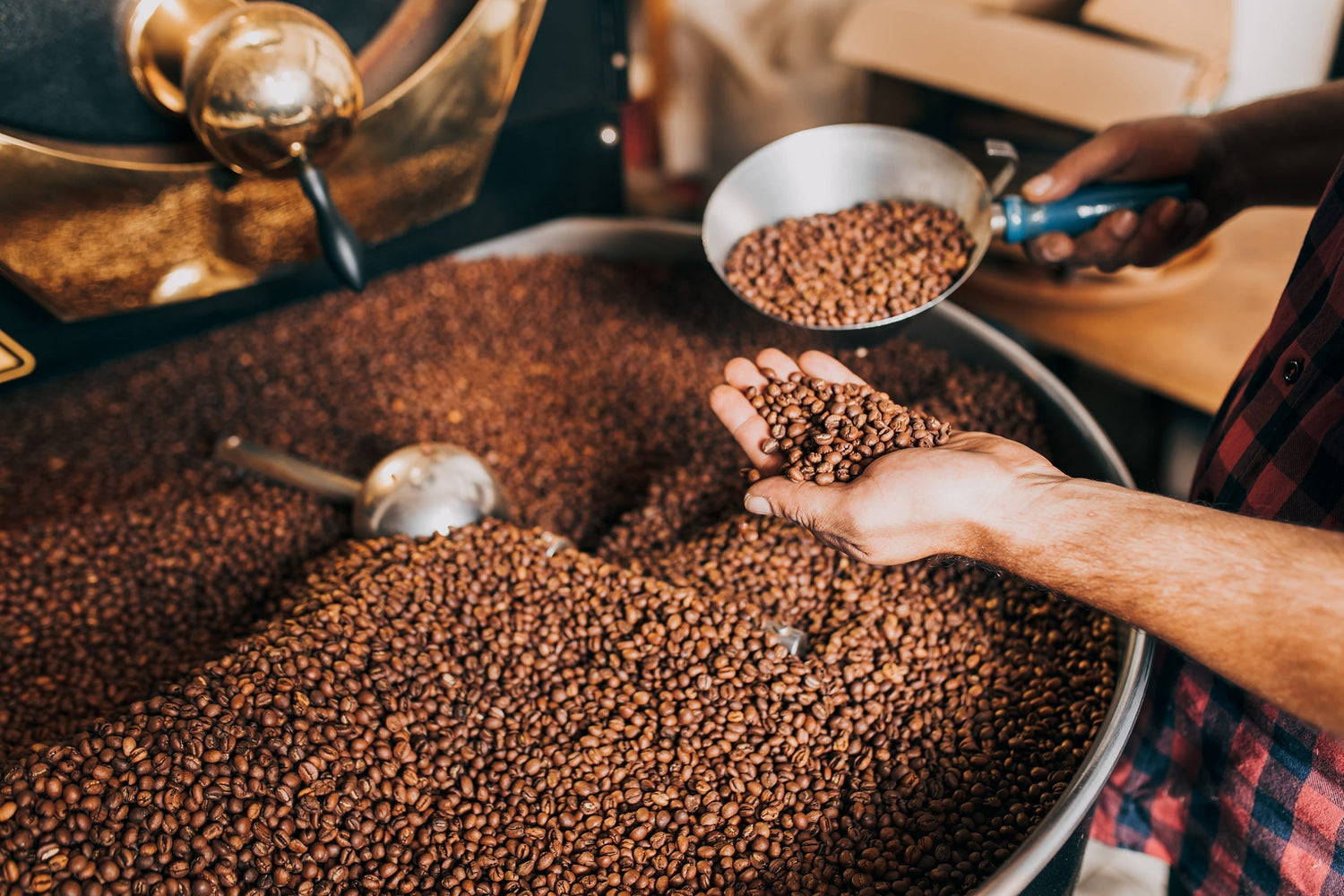 What Is Speciality Coffee? Benefits, Grading & Expert Buying Guide