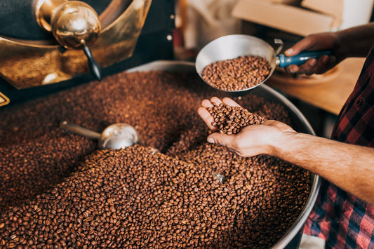 What Is Speciality Coffee? Benefits, Grading & Expert Buying Guide
