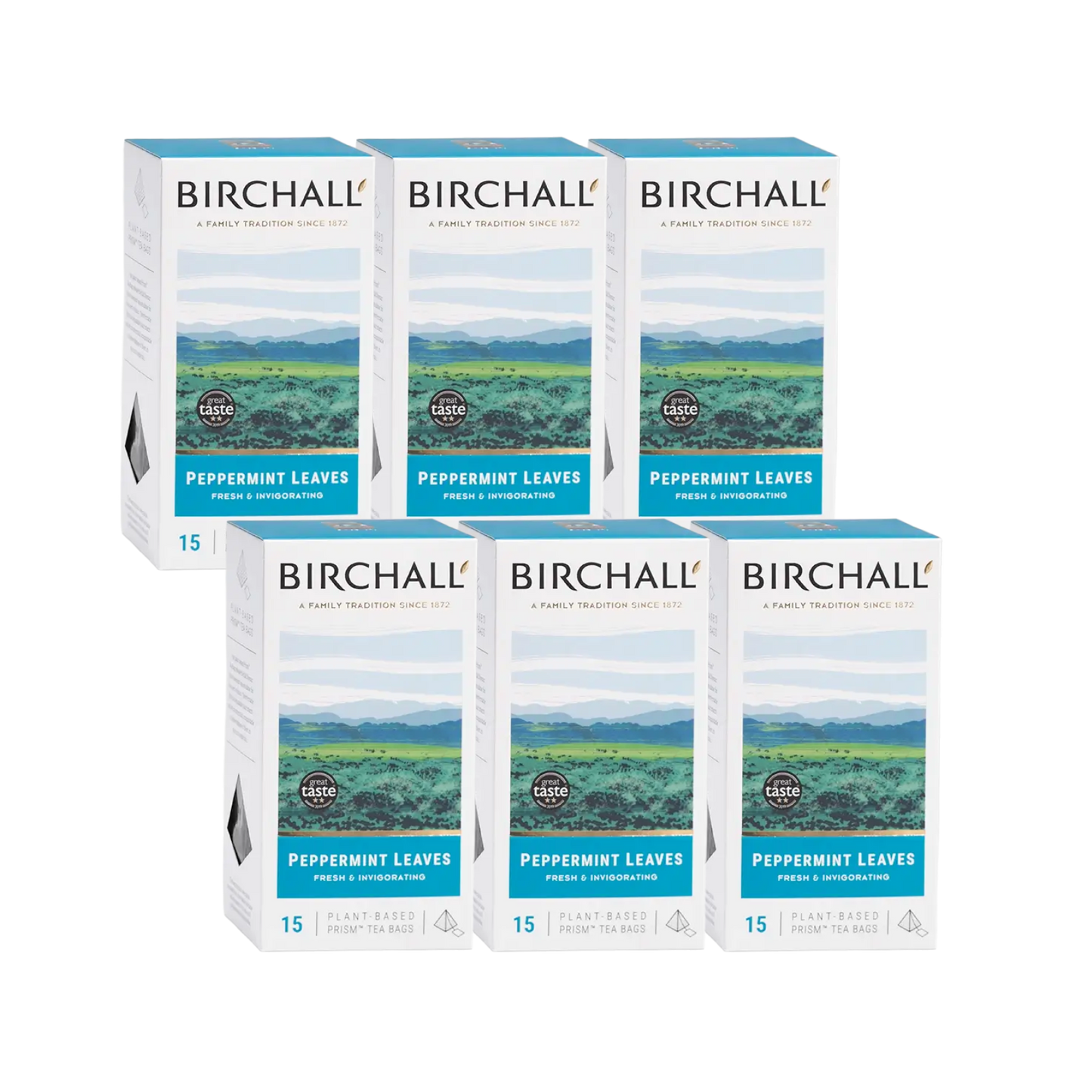 Birchall Peppermint Leaves Prism Tea Bags