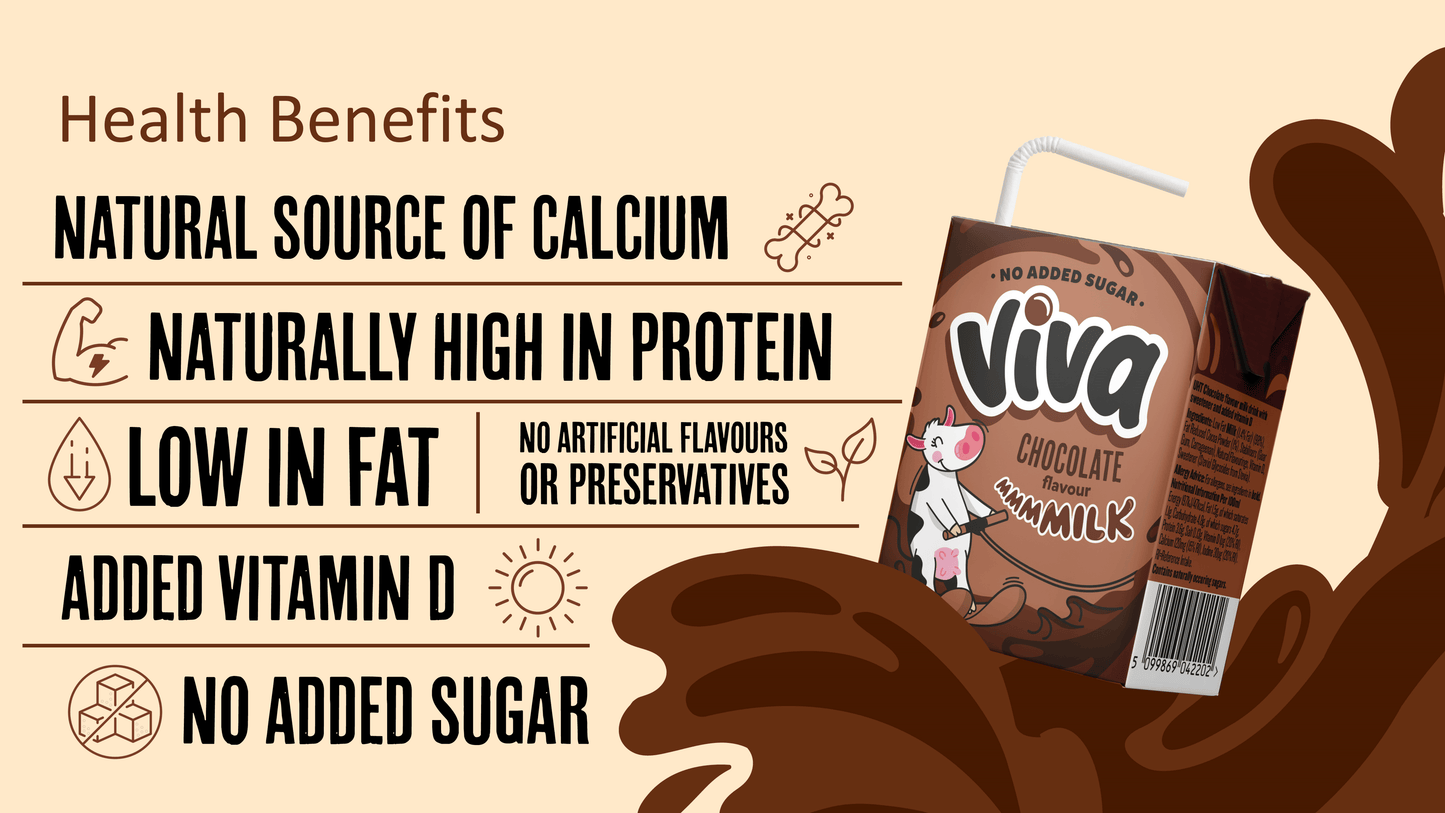 Viva Chocolate Flavour Milk 27 x 200ml