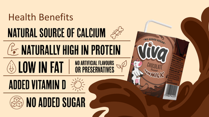 Viva Chocolate Flavour Milk 27 x 200ml