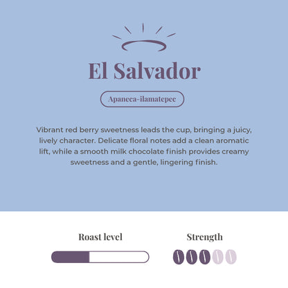 El Salvador Single Origin Coffee Beans