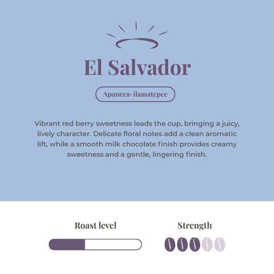El Salvador Single Origin Coffee Beans