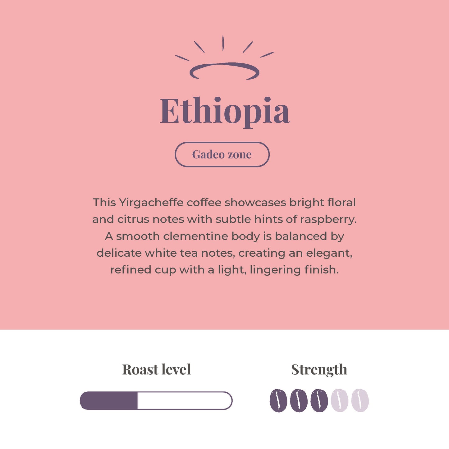 Ethiopia Single Origin Coffee Beans