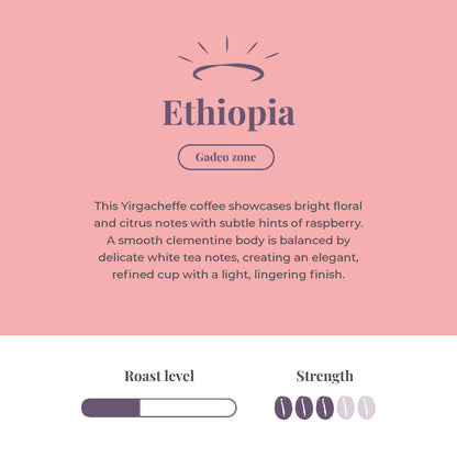 Ethiopia Single Origin Coffee Beans