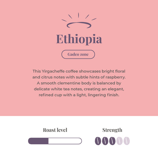 Ethiopia Single Origin Coffee Beans