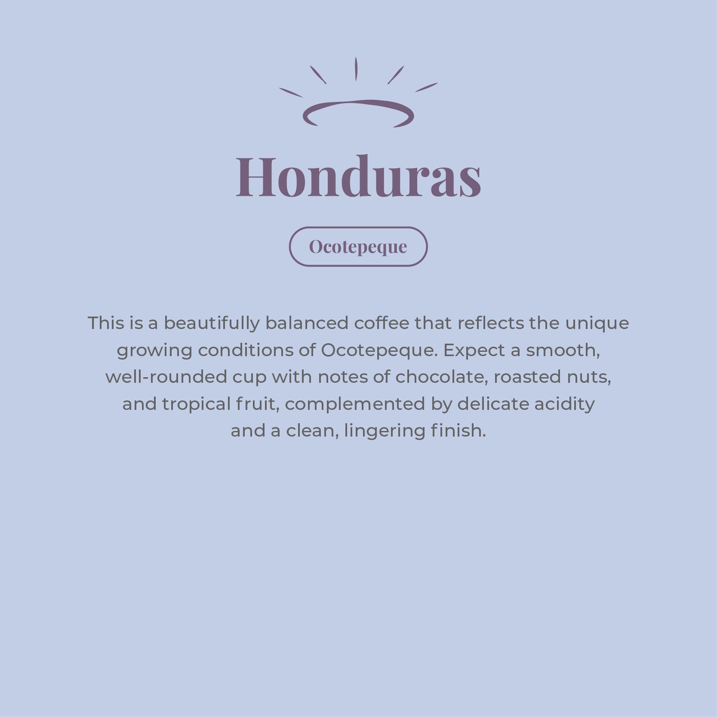 Honduras Single Origin Coffee Beans