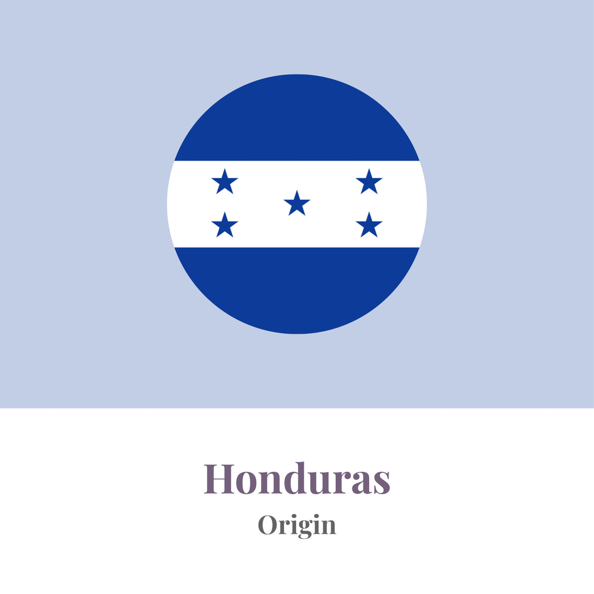 Honduras Single Origin Coffee Beans